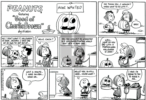Peanuts - Sunday November 2, 1969 Comic Strip