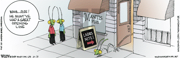 Non Sequitur - Thursday October 31, 2024 Comic Strip