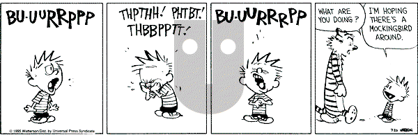 Calvin and Hobbes - Thursday July 20, 1995 Comic Strip