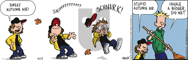 Frazz on Sunday November 2, 2008 Comic Strip