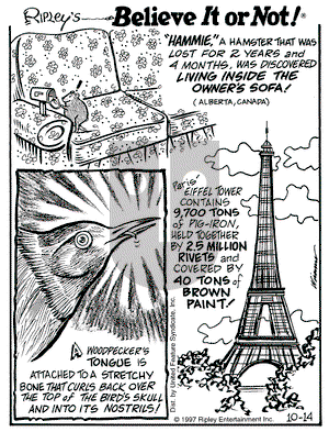 Ripley's Believe It or Not on Tuesday October 14, 1997 Comic Strip
