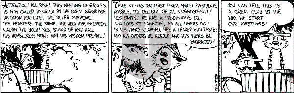 Calvin and Hobbes - Monday April 22, 1991 Comic Strip