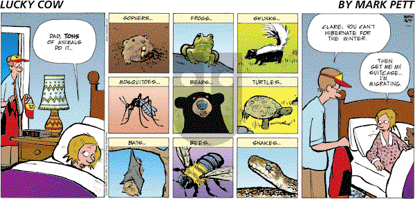 Lucky Cow on Sunday December 5, 2004 Comic Strip