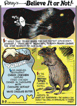 Ripley's Believe It or Not on Wednesday September 3, 2014 Comic Strip
