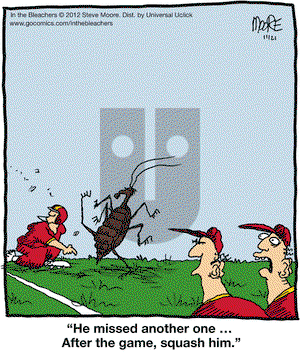 In the Bleachers on Wednesday November 21, 2012 Comic Strip
