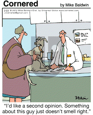 Cornered on Thursday February 23, 2012 Comic Strip