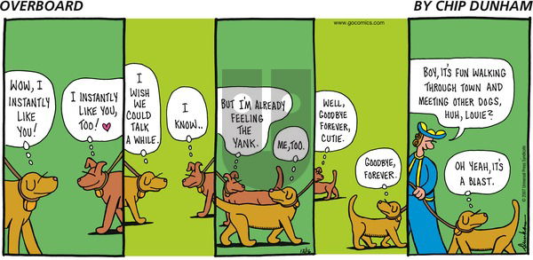 Overboard on Sunday December 16, 2007 Comic Strip