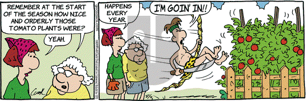Lola on Saturday August 3, 2013 Comic Strip