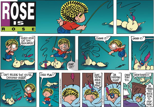 Rose is Rose on Sunday June 14, 2020 Comic Strip