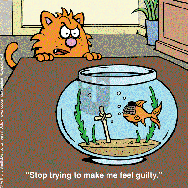 Learn to Speak Cat on Wednesday May 21, 2025 Comic Strip
