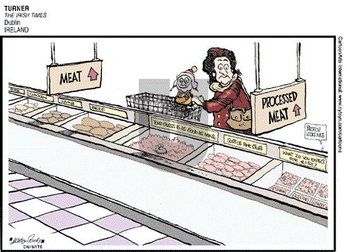 ViewsBusiness on Friday February 15, 2013 Comic Strip