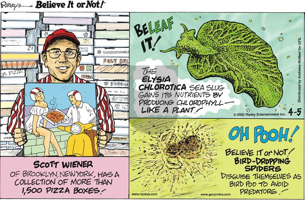 Ripley's Believe It or Not on Sunday April 5, 2020 Comic Strip