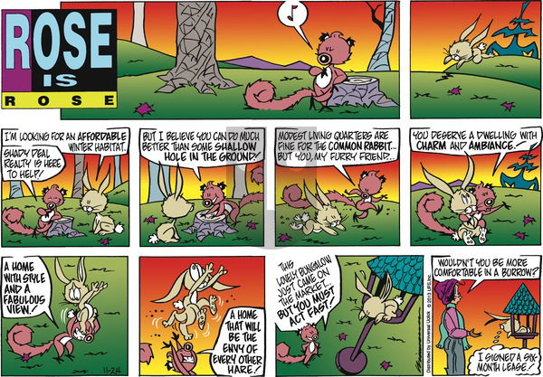 Rose is Rose on Sunday November 24, 2013 Comic Strip