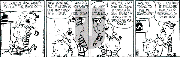 Calvin and Hobbes - Tuesday May 12, 1987 Comic Strip