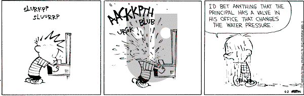Calvin and Hobbes - Friday June 2, 1995 Comic Strip
