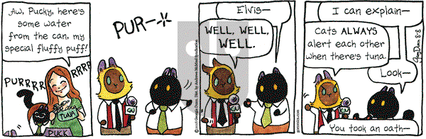 Breaking Cat News on Wednesday August 8, 2018 Comic Strip