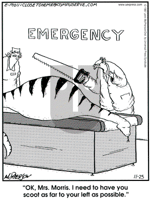 Close to Home on Tuesday November 25, 1997 Comic Strip