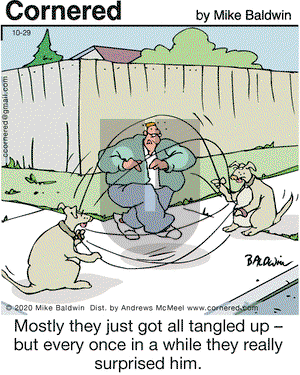 Cornered on Thursday October 29, 2020 Comic Strip