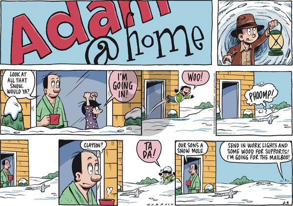 Adam@Home on Sunday February 3, 2019 Comic Strip