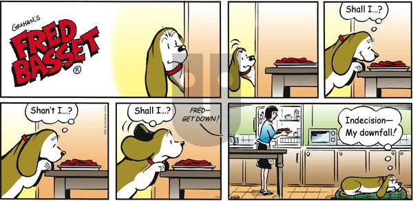 Fred Basset on Sunday November 4, 2012 Comic Strip