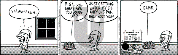 Pearls Before Swine on Wednesday May 10, 2006 Comic Strip