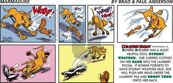 Marmaduke on Sunday October 29, 2017 Comic Strip