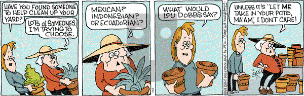 Family Tree - Wednesday November 5, 2008 Comic Strip