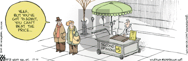 Non Sequitur on Saturday December 14, 2013 Comic Strip