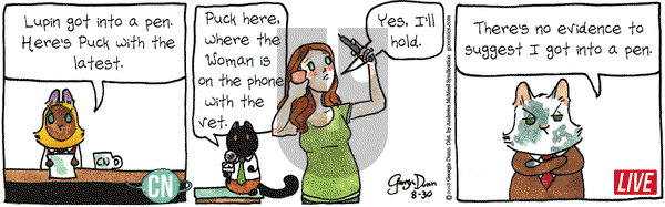 Breaking Cat News on Thursday August 30, 2018 Comic Strip