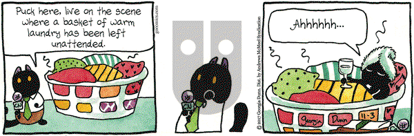 Breaking Cat News on Friday November 3, 2017 Comic Strip