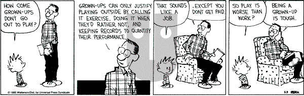 Calvin and Hobbes - Tuesday May 9, 1995 Comic Strip