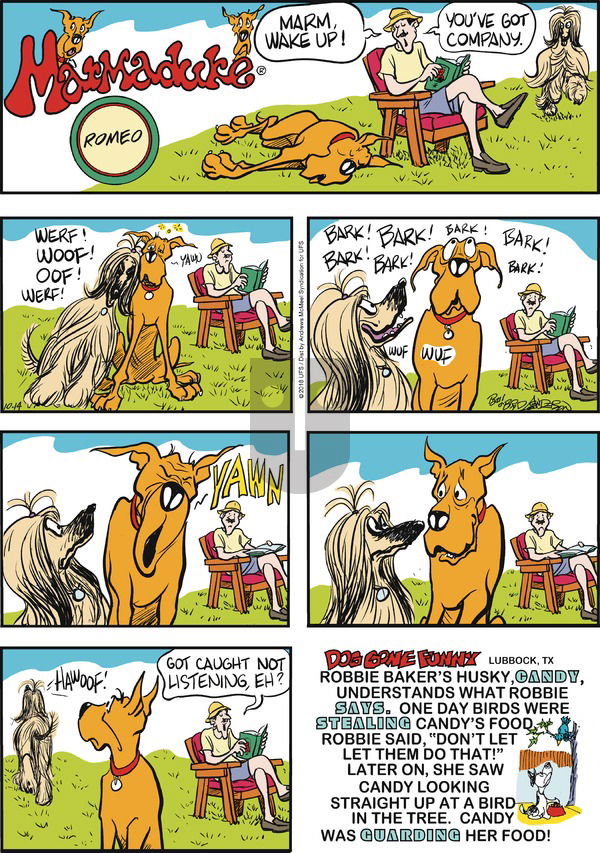 Marmaduke on Sunday October 14, 2018 Comic Strip