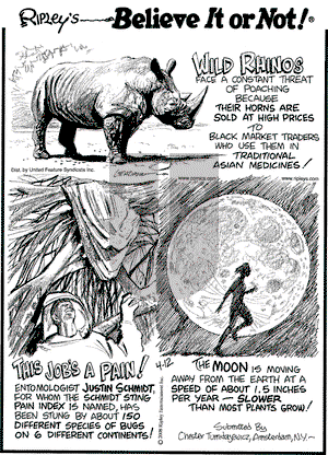 Ripley's Believe It or Not on Saturday April 12, 2008 Comic Strip