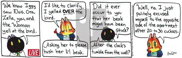 Breaking Cat News on Friday May 23, 2025 Comic Strip
