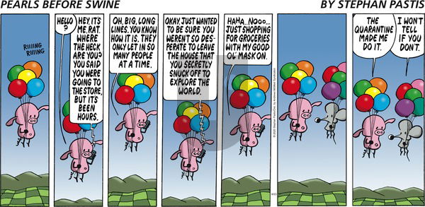 Pearls Before Swine - Sunday August 23, 2020 Comic Strip
