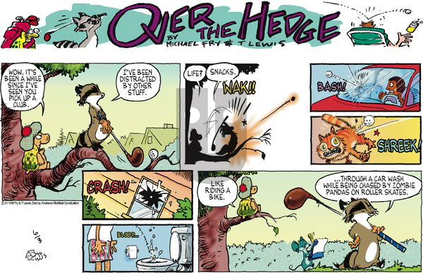 Over the Hedge on Sunday June 3, 2018 Comic Strip