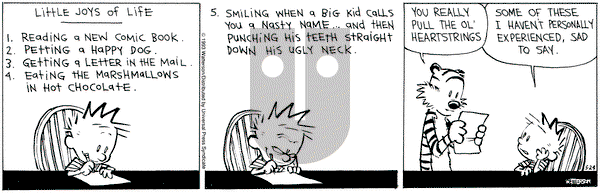 Calvin and Hobbes on Monday May 24, 1993 Comic Strip