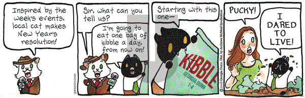 Breaking Cat News on Thursday January 4, 2018 Comic Strip
