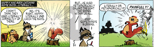 Over the Hedge on Wednesday May 31, 2017 Comic Strip