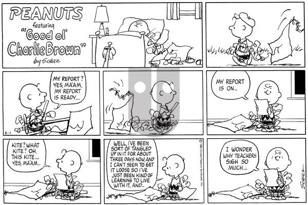 Peanuts on Sunday June 1, 1980 Comic Strip