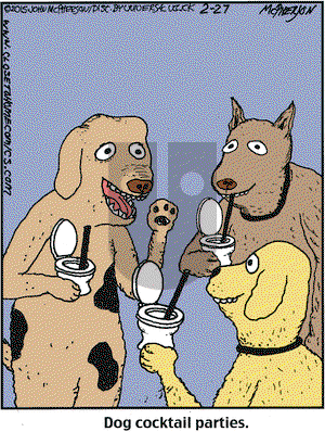 Close to Home on Friday February 27, 2015 Comic Strip