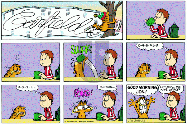 Garfield on Sunday February 3, 1991 Comic Strip
