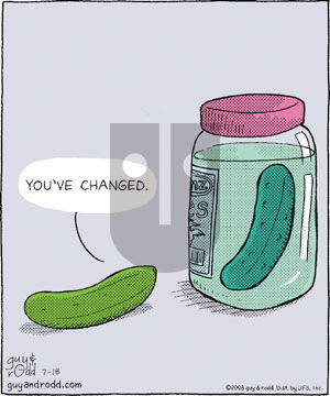 Brevity - Friday July 18, 2008 Comic Strip