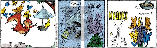 Over the Hedge on Wednesday October 20, 2010 Comic Strip