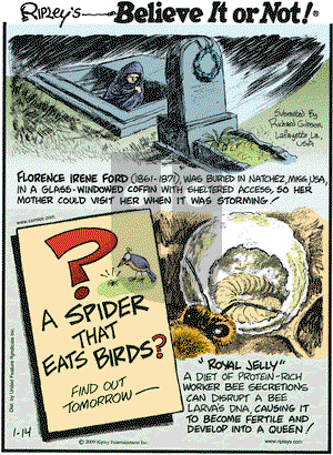 Ripley's Believe It or Not on Wednesday January 14, 2009 Comic Strip