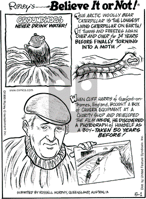 Ripley's Believe It or Not on Saturday May 1, 1999 Comic Strip