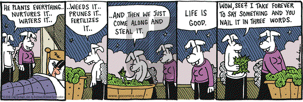 Overboard on Wednesday June 6, 2018 Comic Strip