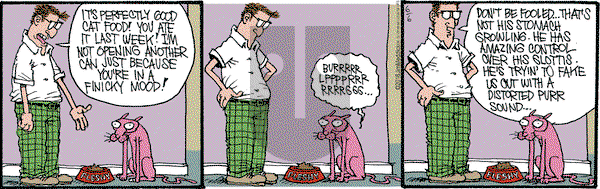 Monty on Monday June 6, 2016 Comic Strip