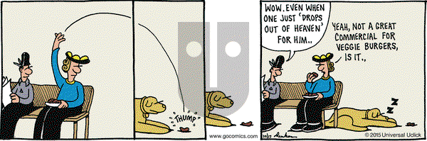 Overboard on Saturday October 17, 2015 Comic Strip