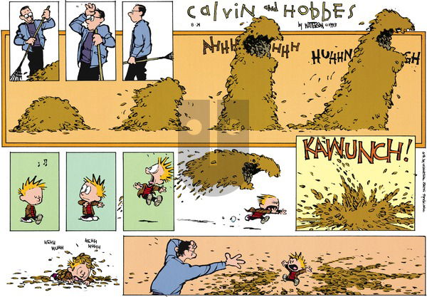 Calvin and Hobbes on Sunday October 10, 1993 Comic Strip